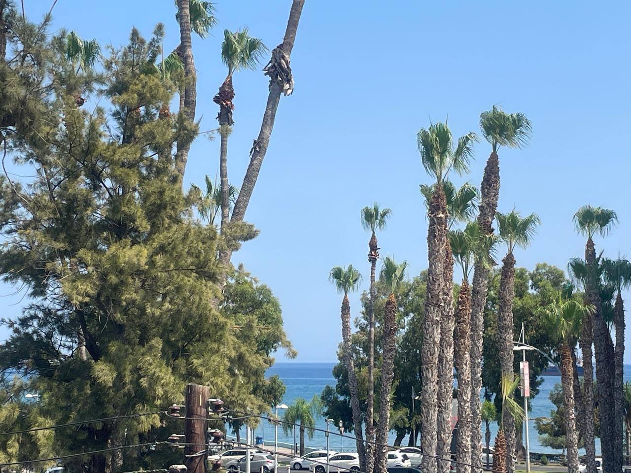 2 BR Apartment in Neapolis, Limassol photo 13