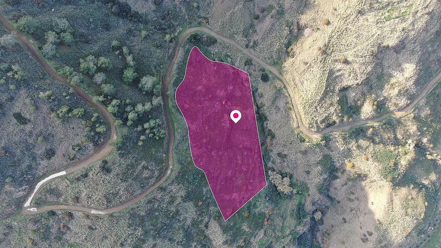 Residential field located in Pigenia, Nicosia photo 2