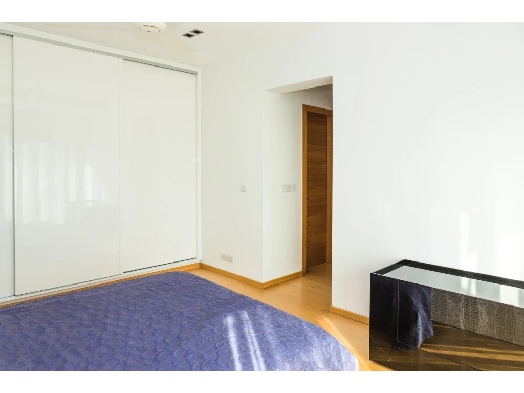 4 BR Penthouse in Neapolis, Limassol photo 11