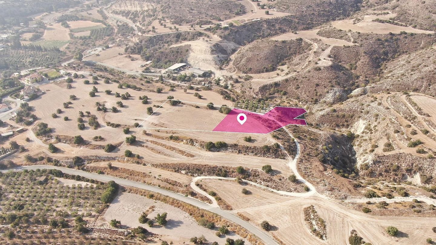 (Share) Residential Field in Agios Theodoros, Larnaca photo 4