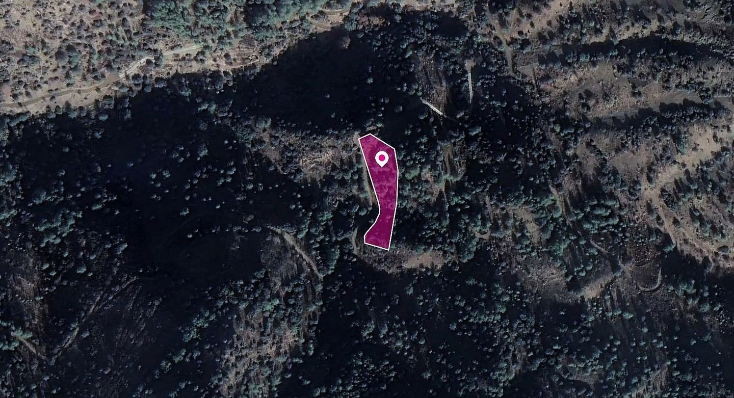 Field, Kaminaria, Limassol photo 2