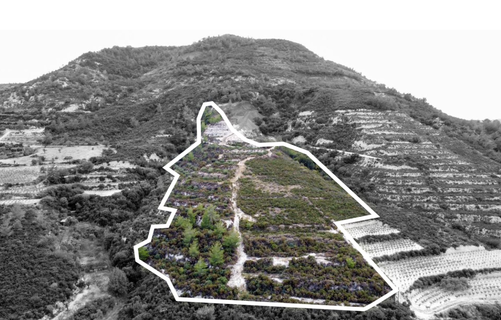 Land for sale in Agios Mamas, Trimiklini photo 2