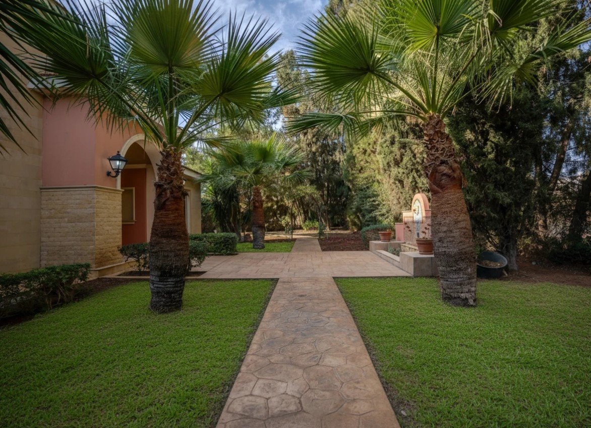 5 BR Detached House in Ypsonas, Limassol photo 15